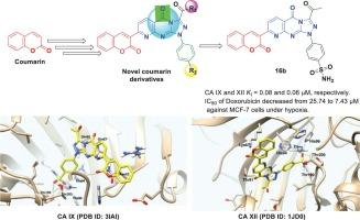 Mitigating the resistance of MCF-7 cancer cells to Doxorubicin under hypoxic conditions with novel coumarin based carbonic anhydrase IX and XII inhibitors