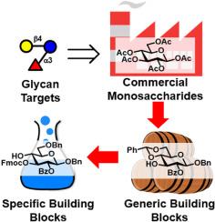 Synthesis of regioselectively protected building blocks of benzyl β-d-glucopyranoside