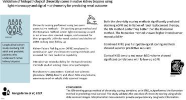 Validation of histopathological chronicity scores in native kidney biopsies using light microscopy and digital morphometry for predicting renal outcome