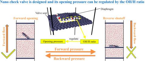 Design and theoretical simulations of nano check valve constructed of graphene sheets