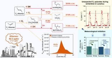 Wintertime ozone surges: The critical role of alkene ozonolysis