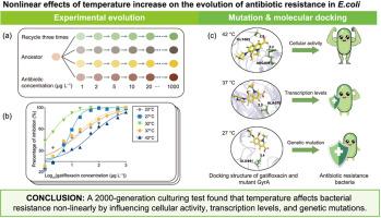 Nonlinear impacts of temperature on antibiotic resistance in Escherichia coli