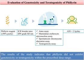 Evaluation of genotoxicity and teratogenicity of phillyrin