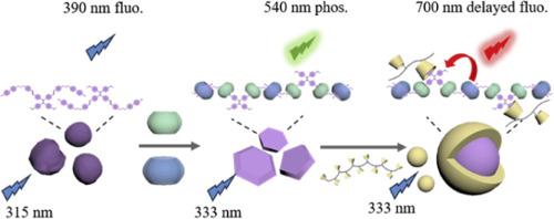 Cucurbituril and cyclodextrin co-confinement-based multilevel assembly for single-molecule phosphorescence resonance energy transfer behavior