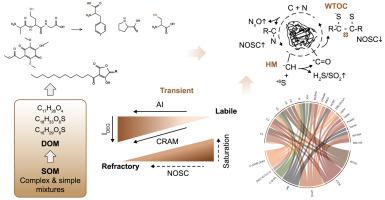 Stability of sedimentary organic matter: Insights from molecular and redox analyses