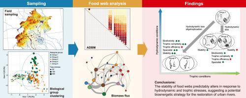 Hydrodynamic and trophic variations reshape macroinvertebrate food webs in urban ecosystems