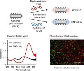 Electrostatically self-assembled gold nanorods with sulfated hyaluronic acid for targeted photothermal therapy for CD44-positive tumors