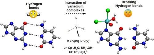 A refreshing approach to understanding the action on DNA of vanadium (IV) and (V) complexes derived from the anticancer VCp2Cl2