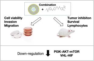 Resveratrol liposomes reverse sorafenib resistance in renal cell carcinoma models by modulating PI3K-AKT-mTOR and VHL-HIF signaling pathways