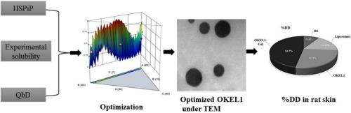 HSPiP and QbD oriented optimized stearylamine-elastic liposomes for topical delivery of ketoconazole to treat deep seated fungal infections: In vitro and ex vivo evaluations