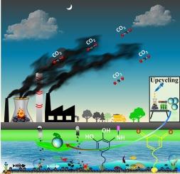 Facile sustainable upcycling of fly ash into multifunctional durable superhydrophobic coatings