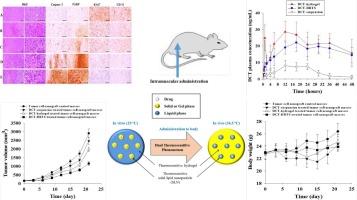 Injectable dual thermoreversible hydrogel for sustained intramuscular drug delivery