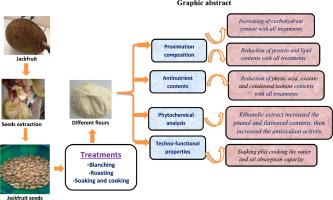 Impact of some treatments on improving the nutritional, phytochemical, antioxidant, and techno-functional properties of Jackfruit (Artocarpus heterophyllus) seed flours