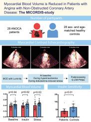 The role of myocardial blood volume in the pathophysiology of angina with non-obstructed coronary arteries: The MICORDIS study