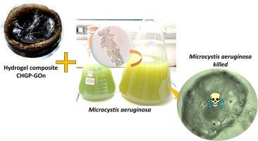 Evaluation of the removal of cyanobacteria and cyanotoxins with a composite hydrogel based on chemically modified gelatin and PVA-containing graphene oxide nanoparticles