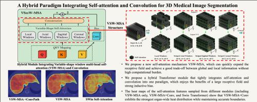 VSmTrans: A hybrid paradigm integrating self-attention and convolution for 3D medical image segmentation