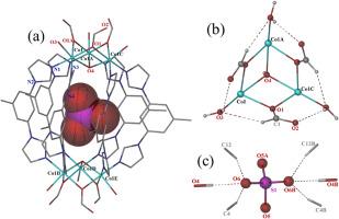 Hexagonal-prismatic metal‒organic cages and metal‒organic polymers based on 1,1'-(5-methyl-1,3-phenylene)bis(1H-imidazole) ligand: Synthesis, structural characterization and magnetic property