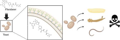 Successful yeast microencapsulation of fluralaner and its potential as a larvicide for vector control