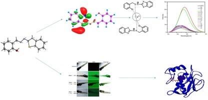 Benzothiazole-based Schiff base for sensing Ca2+ ions: Synthesis, DFT studies, toxicity evaluation in zebrafish embryo and in silico analysis of MMP-9 inhibition