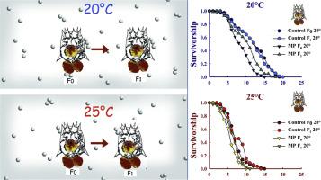 Effect of microplastics on the demography of Brachionus calyciflorus Pallas (Rotifera) over successive generations