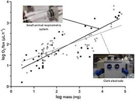 Utilization of a Clark electrode device as a respirometer for small insects: A convincing test on ants allowing to detect discontinuous gas exchange