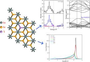 Modulation of monolayer SnSe2 optoelectronic properties by applied electric field and atomic doping