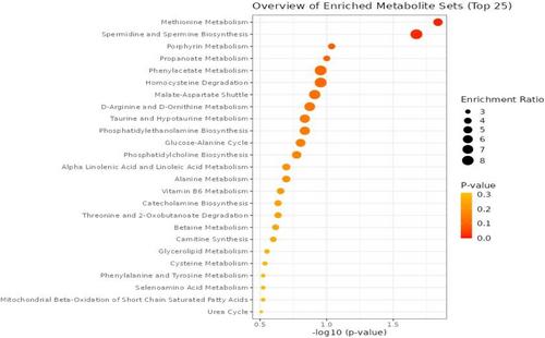 Unravelling the Metabolic Underpinnings of Gestational Diabetes Mellitus: A Comprehensive Mendelian Randomisation Analysis Identifying Causal Metabolites and Biological Pathways