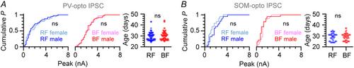 Multiple layers of diversity govern the cell type specificity of GABAergic input received by mouse subicular pyramidal neurons