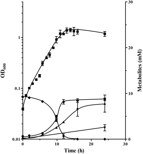 3-Hydroxypropionate production from myo-inositol by the gut acetogen Blautia schinkii