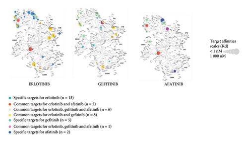 Protein Kinase Inhibitors Indicated for Lung Cancer: Pharmacodynamics, Pharmacokinetics, Adverse Drug Reactions, and Evaluation in Clinical Trials