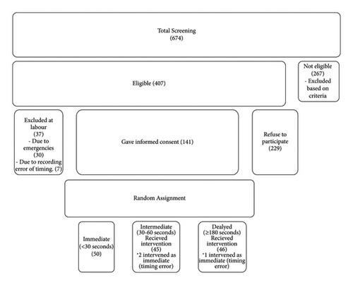 Effect of Time of Cord Clamping on the Serum Bilirubin Level among Full-Term Babies Born in an Ethiopian Hospital Setting: An Exploratory Three-Arm Randomized Controlled Trial