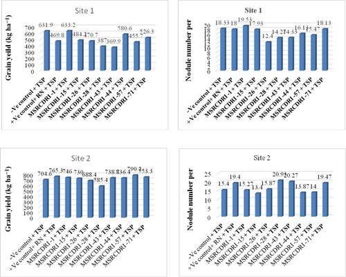 Synergetic efficiency of eco-friendly inoculants on yield and yield parameters of Abyssinian field pea (Pisum sativum var. abyssinicum)