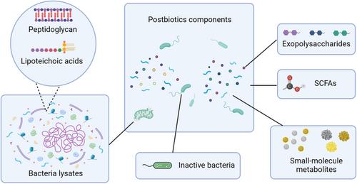 Postbiotics: Enhancing human health with a novel concept