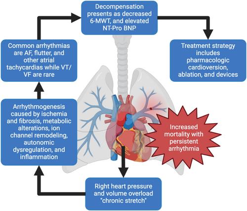 Cardiac Arrhythmias in Pulmonary Arterial Hypertension and Chronic Thromboembolic Pulmonary Hypertension: Mechanistic Insights, Pathophysiology, and Outcomes