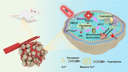 Inducing Pyroptosis and Cuproptosis Using Copper Carriers for ROS-Augmented Effective Cancer Therapy