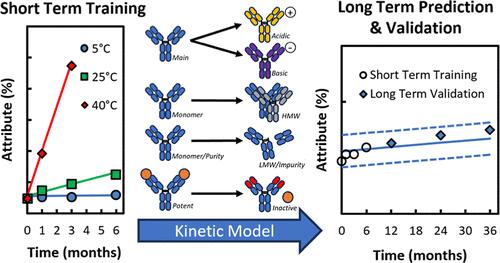 Predicting the Long-Term Stability of Biologics with Short-Term Data