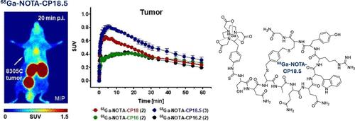 First-Generation Radiolabeled Cyclic Peptides for Molecular Imaging of Platelet-Derived Growth Factor Receptor α