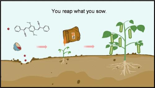 Seed-Induced Pathway Control of Low-Dispersity Polymorphic Microcrystals of pi-Conjugated Molecules
