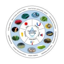 Intelligent manipulation of liquids through the bio-inspired structuring of materials