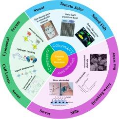 Advanced fluorescent probes, portable electrochemical and colorimetric sensors for detection of chloride ions in bodily fluids, foods and waters