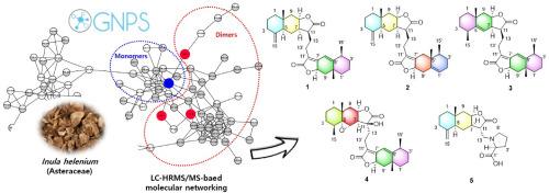 Targeted isolation of dimeric sesquiterpene lactones and sesquiterpene derivatives from the roots of Inula helenium