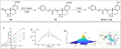 2β-Acetoxyferruginol derivatives as α-glucosidase inhibitors: Synthesis and biological evaluation