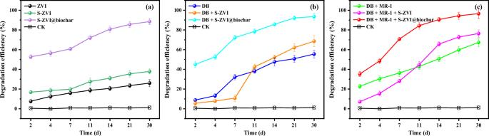 S-ZVI@biochar constructs a directed electron transfer channel between dechlorinating bacteria, Shewanella oneidensis MR-1 and trichloroethylene