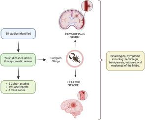 Stroke as a rare complication of scorpion stings: A systematic review and analysis