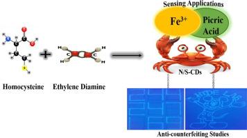 Synthesis of blue-sparkling N, S-doped carbon dots for effective detection of nitro explosive and Fe3+ ion and anti-counterfeiting studies