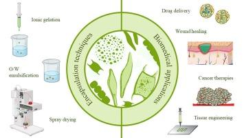 Recent advances in microalgae encapsulation techniques for biomedical applications