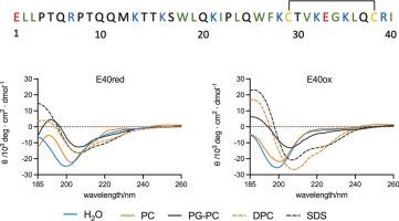 Secondary structure propensities of the Ebola delta peptide E40 in solution and model membrane environments