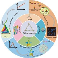 Recent advances in the construction strategy, functional properties, and biosensing application of self-assembled triangular unit-based DNA nanostructures