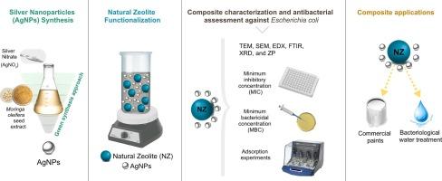 Antibacterial activity of functionalized natural zeolites (NZ-AgNPs) and its application in bacteriological water treatment and commercial paints