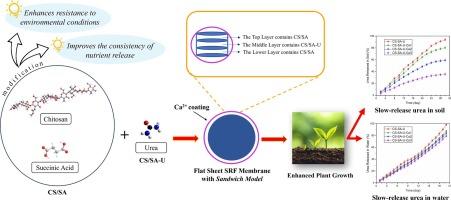 Environmentally friendly slow-release urea fertilizer based on modified chitosan membrane